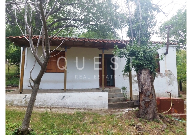 https://www.questrealty.gr/images/properties/119023729.jpg