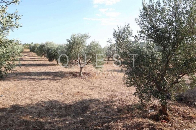 https://www.questrealty.gr/images/properties/118752133.jpg