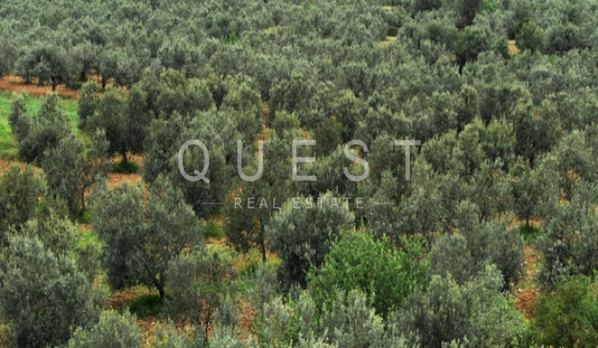 https://www.questrealty.gr/images/properties/118812880.jpg