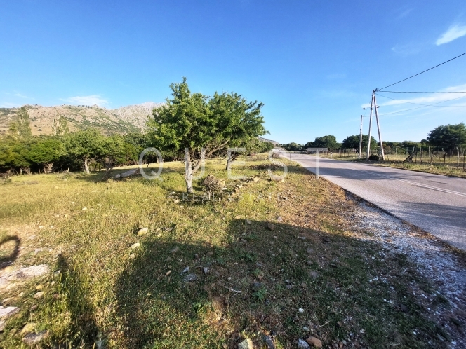 https://www.questrealty.gr/images/properties/119055426.jpg
