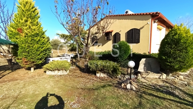 https://www.questrealty.gr/images/properties/218219773.jpg