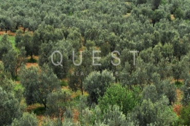 https://www.questrealty.gr/images/properties/118812880.jpg
