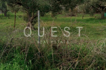 https://www.questrealty.gr/images/properties/119381838.jpg