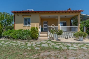 https://www.questrealty.gr/images/properties/219064725.jpg